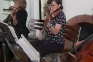 Variedad musical