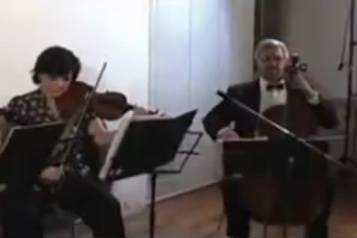 Violines intermedios