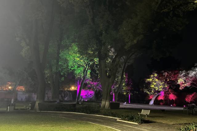 Jardin Tlalpan by Dhalí