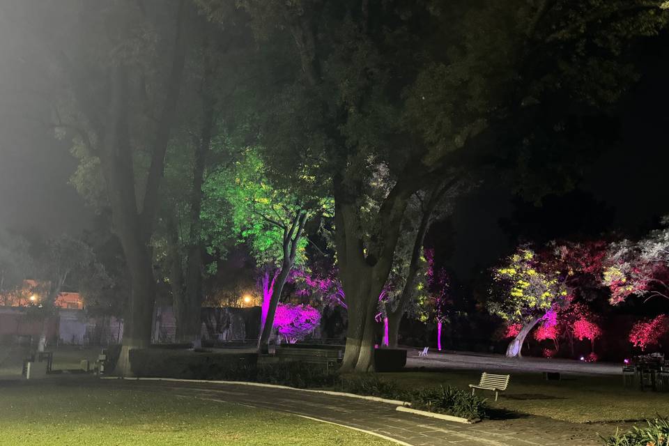 Jardin Tlalpan by Dhalí