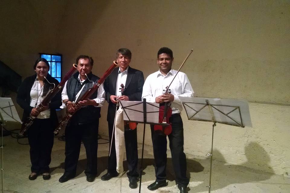 Violines y fagotes