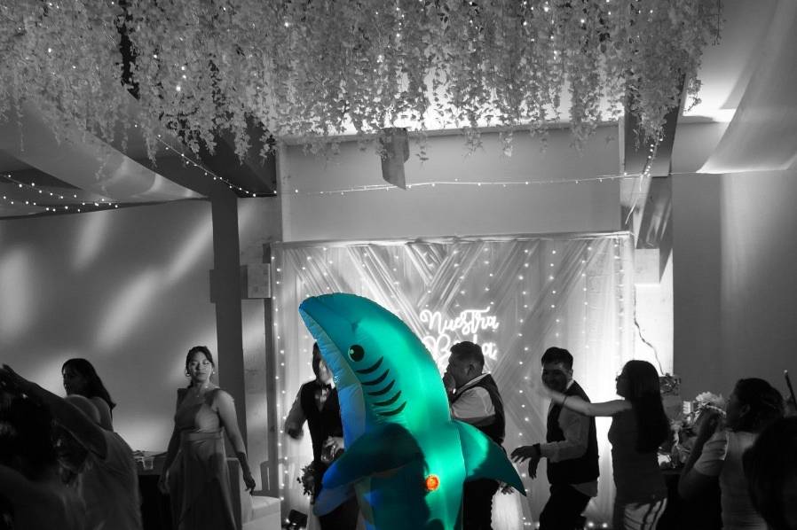 Fiesta