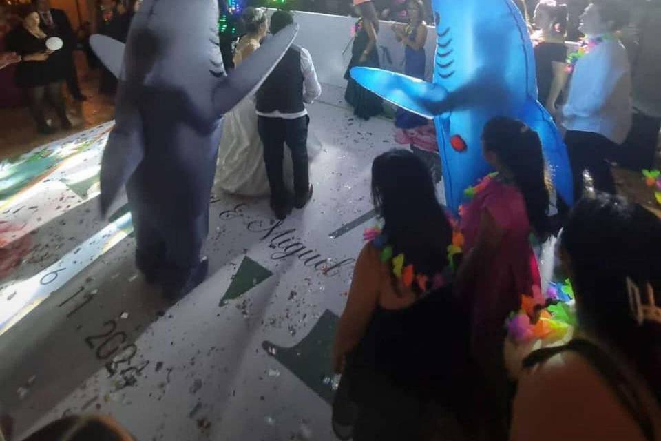 Animación