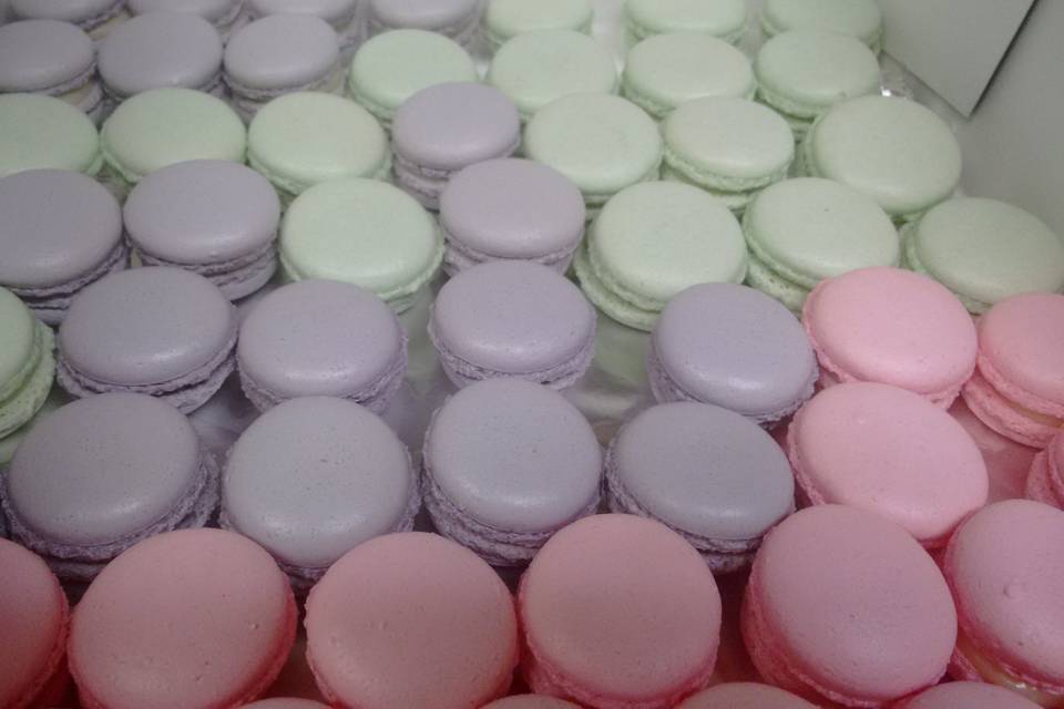 Macarons color pastel