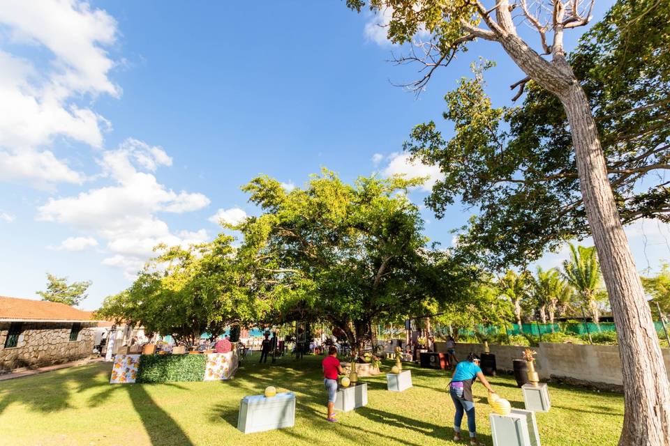 Jardín de eventos