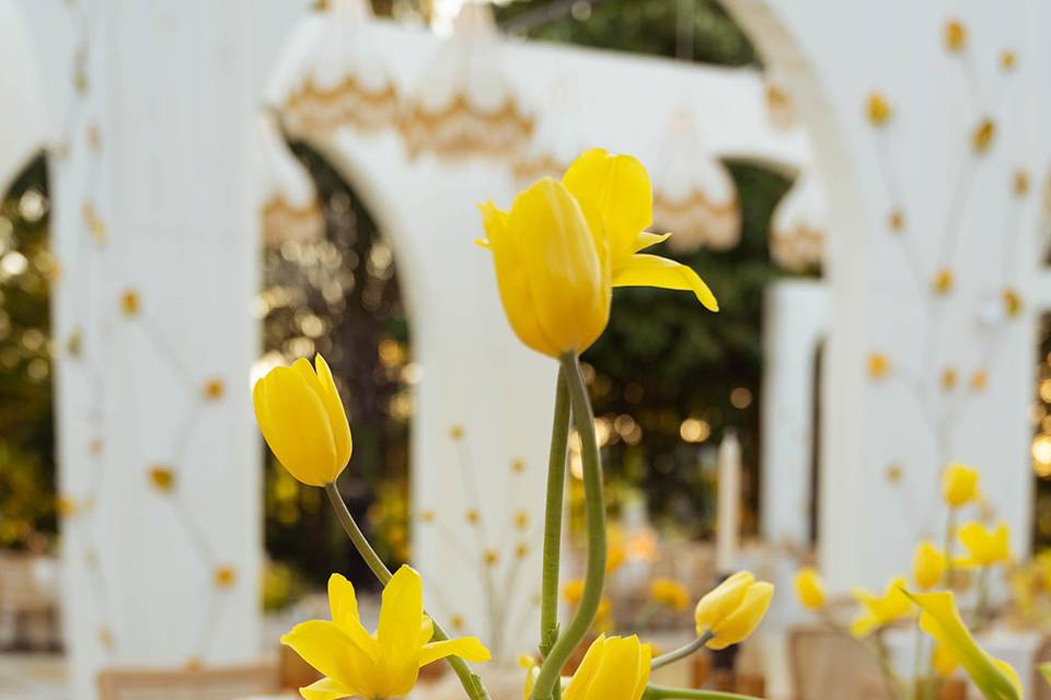 Yucatan como inspiración