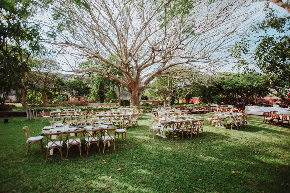 Auto de bodas