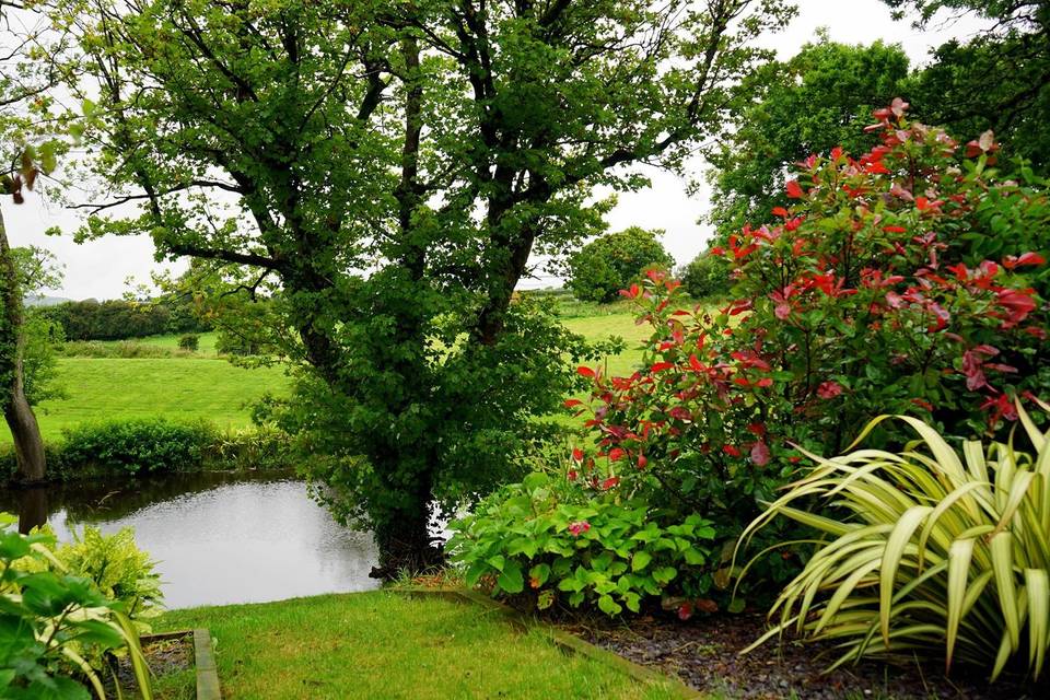 El jardín