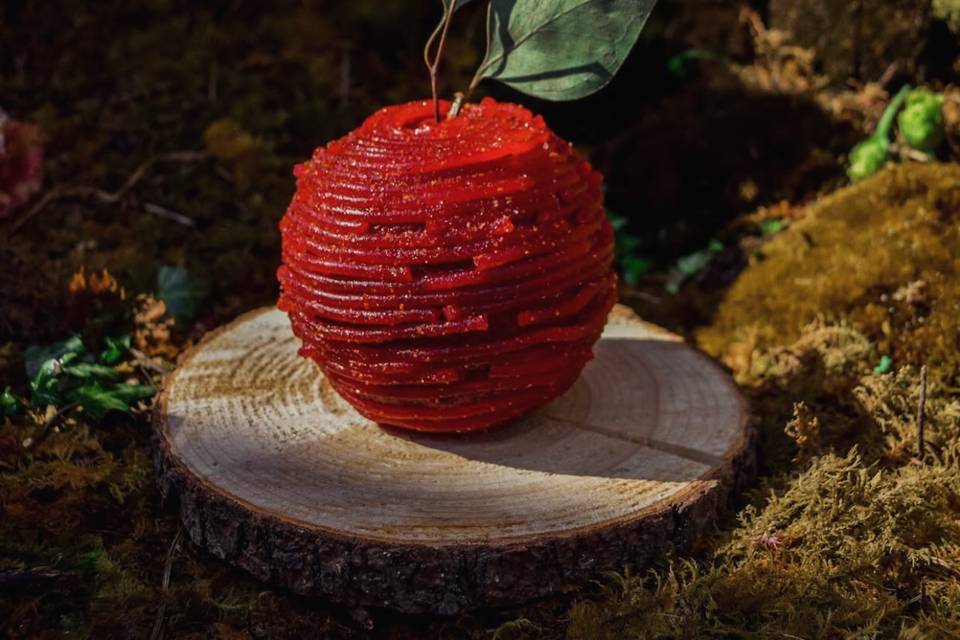 Cocodrilo rojo