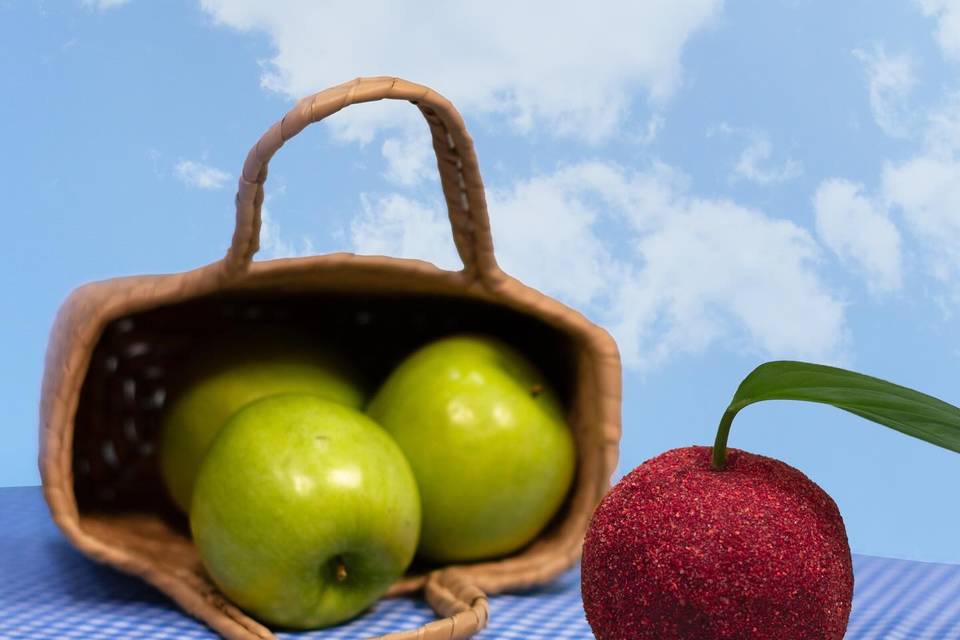 Cocodrilo Rojo