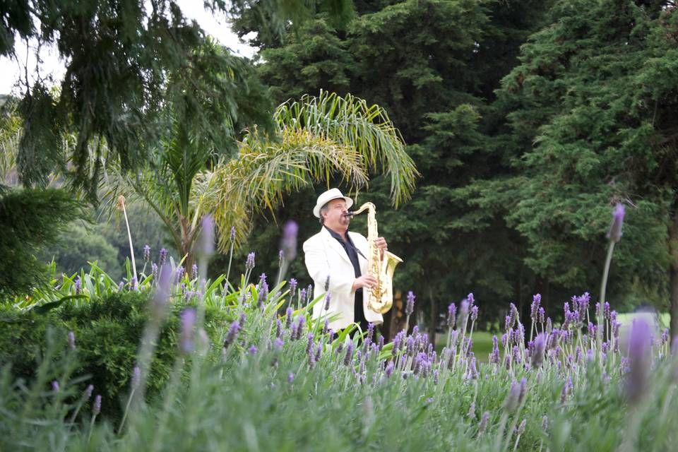 Sax Elixir