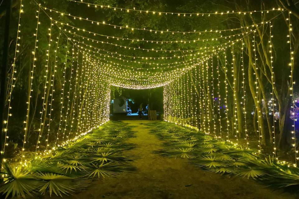 Bodas Cenote Casa Tortuga