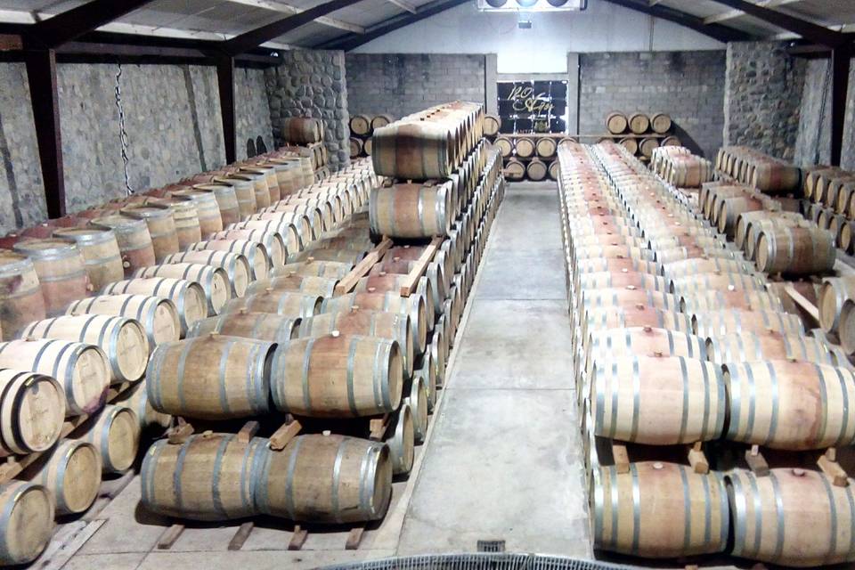 Bodegas de Santo Tomás