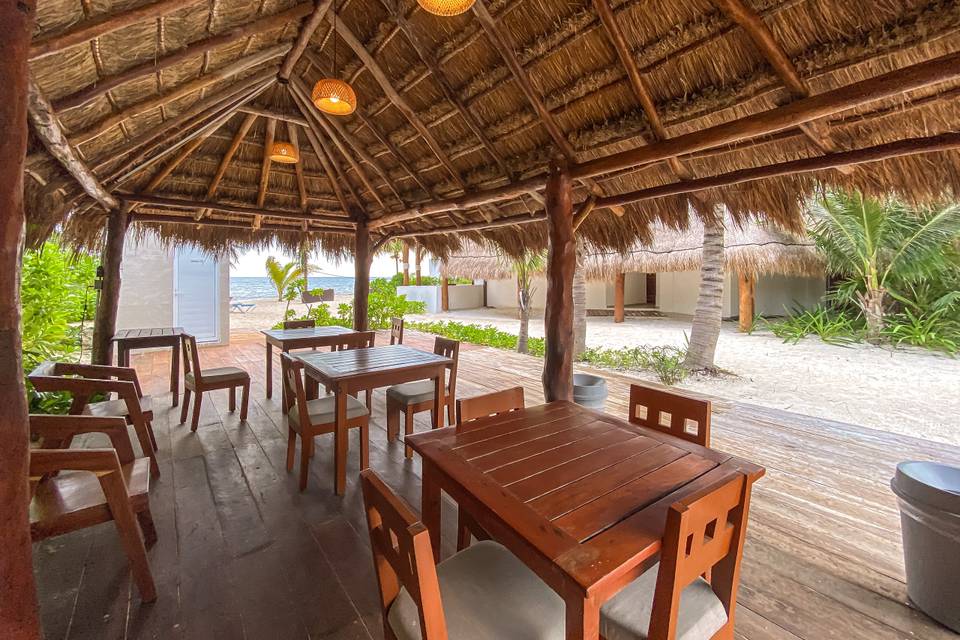 Palapa