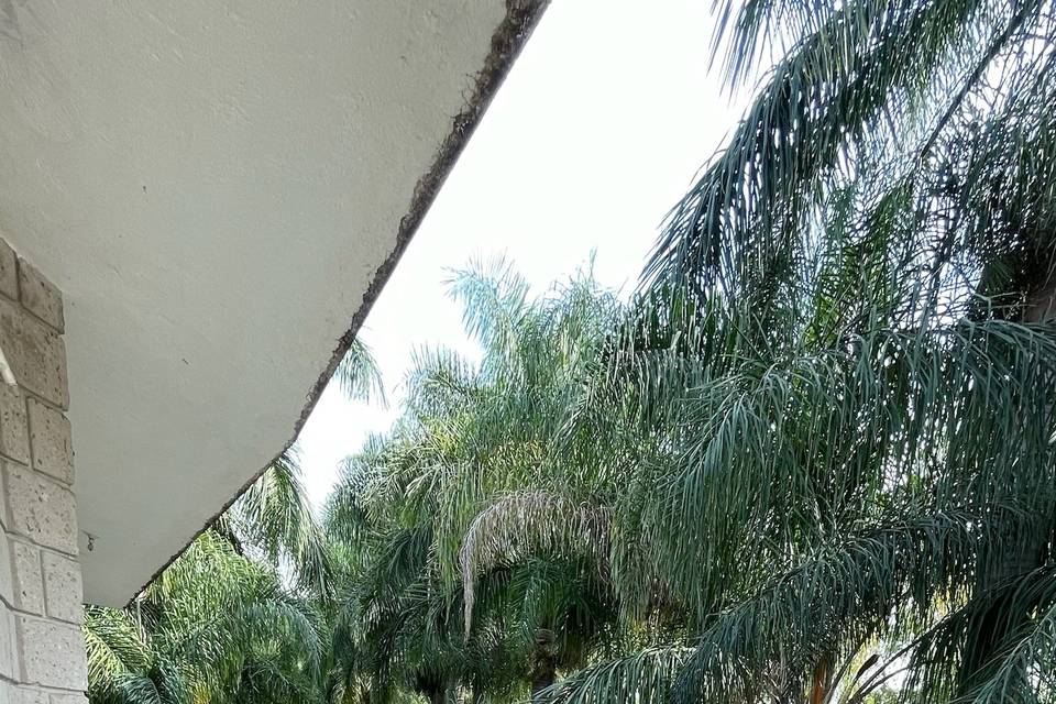 Espacio en una área natural para eventos
