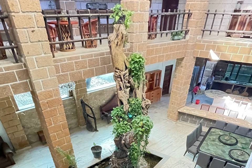 Espacio en una área natural para eventos