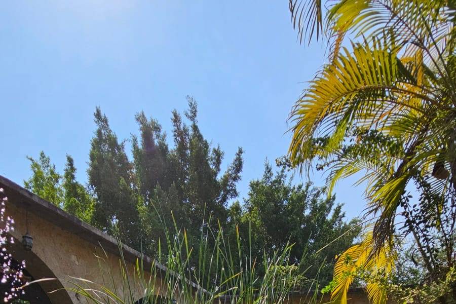 Espacio en una área natural para eventos