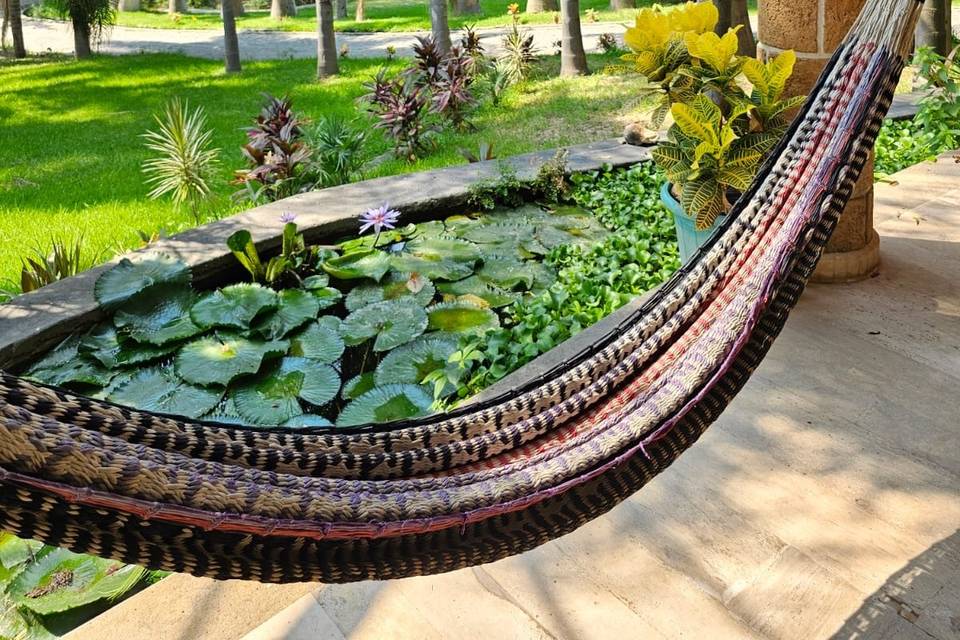 Espacio en una área natural para eventos