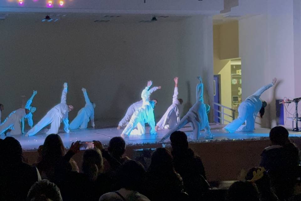 Espectáculos de danza