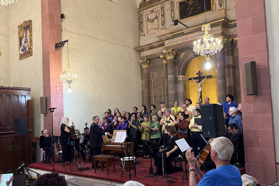 Sonorización profesional