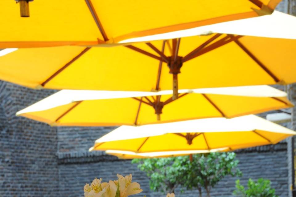 Terraza Tlalpan