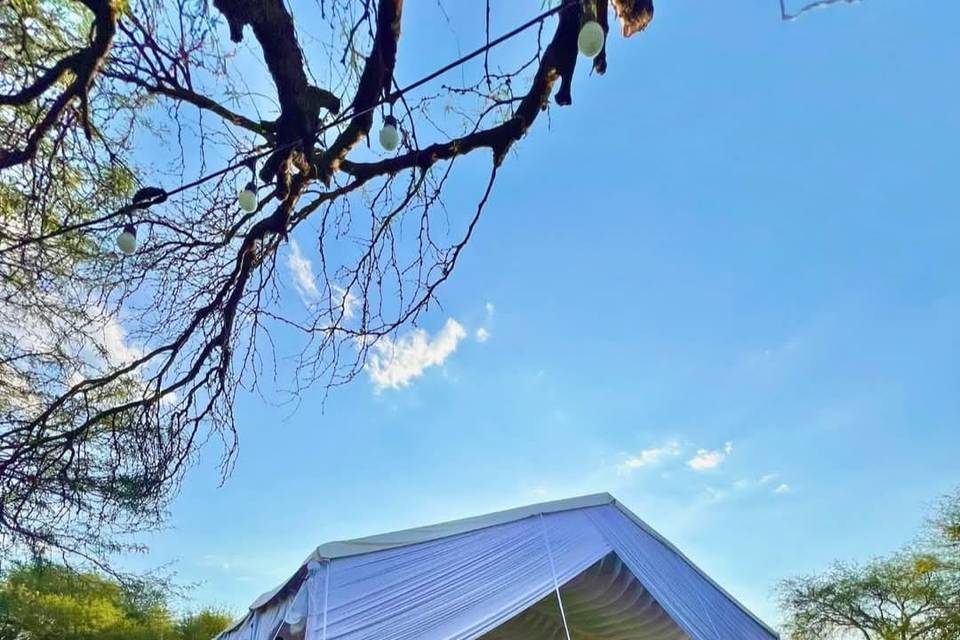 CARPA DE OLAS 2