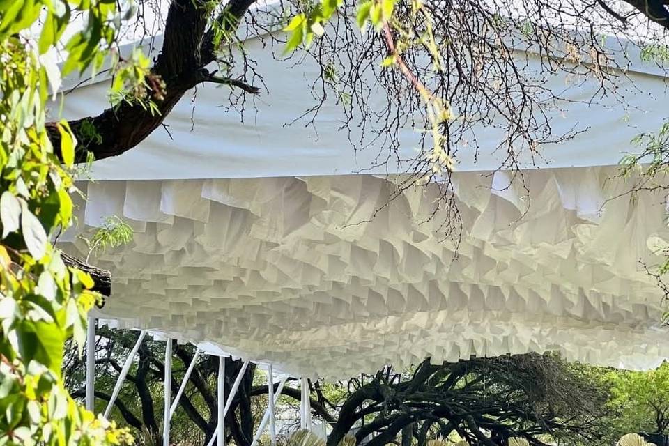 CARPA DE OLAS