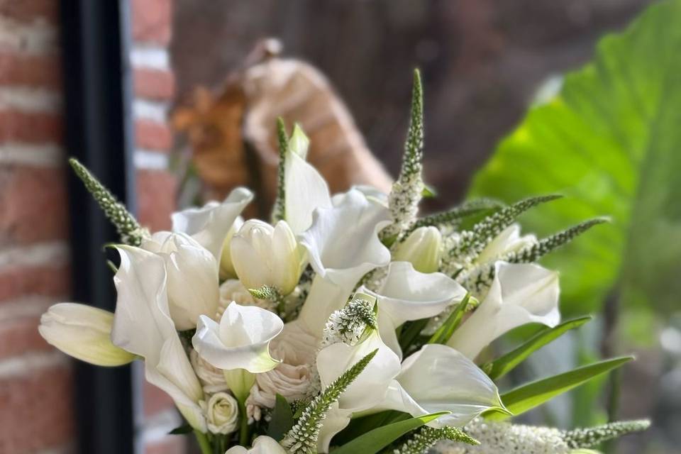 Ramo de novia con flores blancas