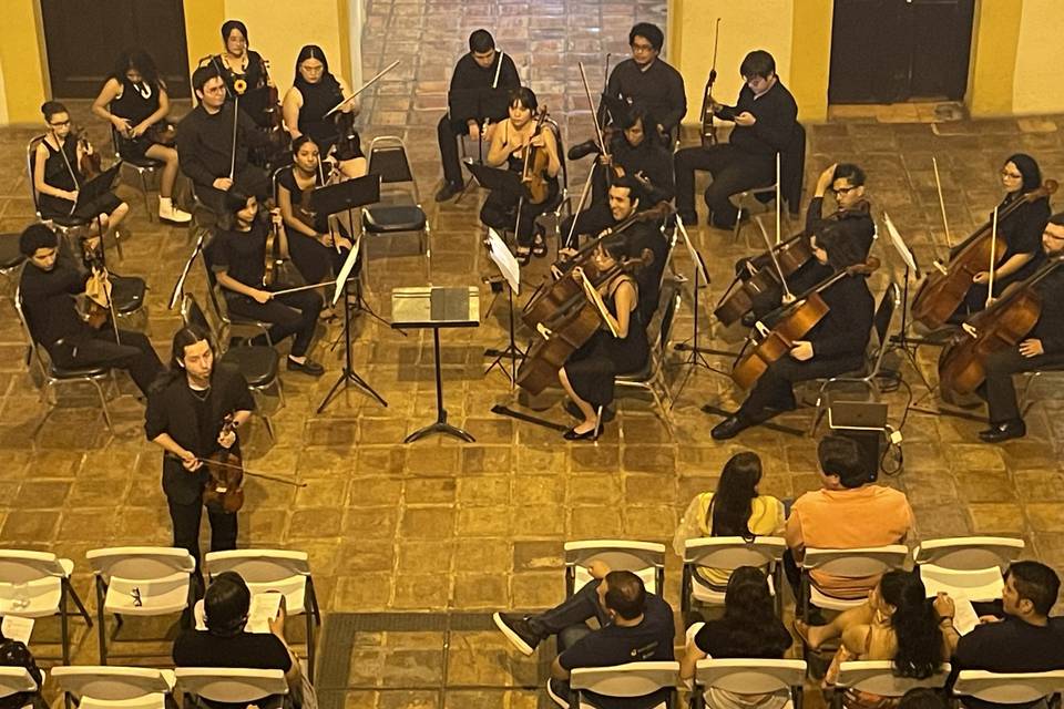 Ensamble Clásico Mozart