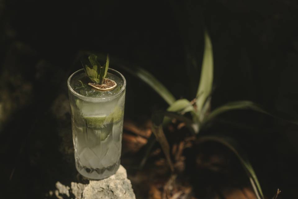 Mojito