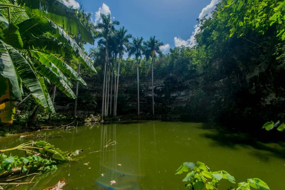 Cenote XIX para admirar