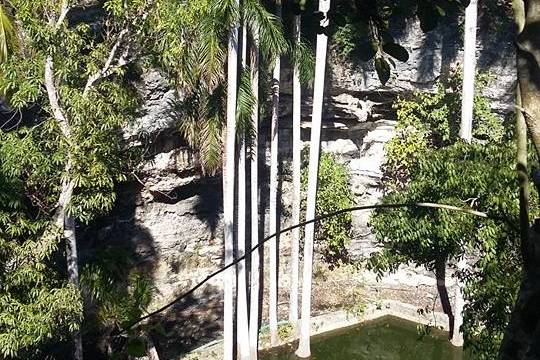 Cenote XIX para admirar