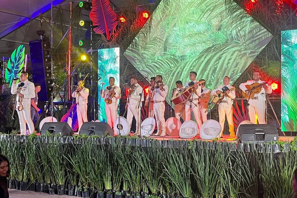 Feria León