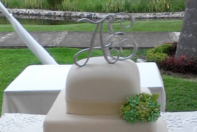 Pastel  fondant agua bendita