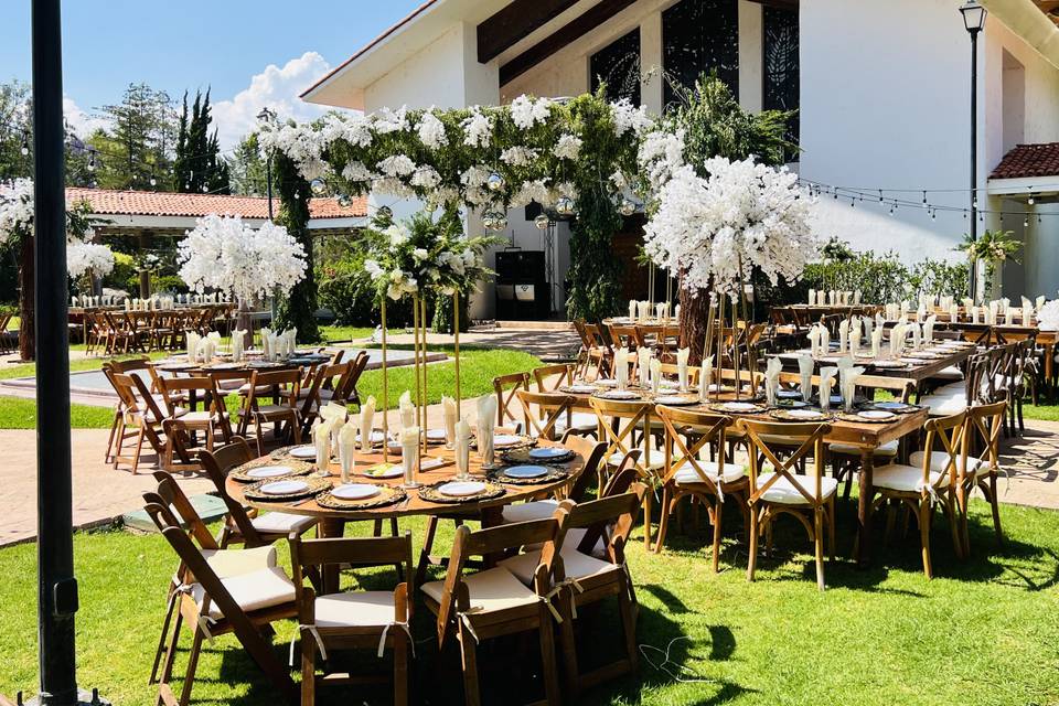 Boda cotija