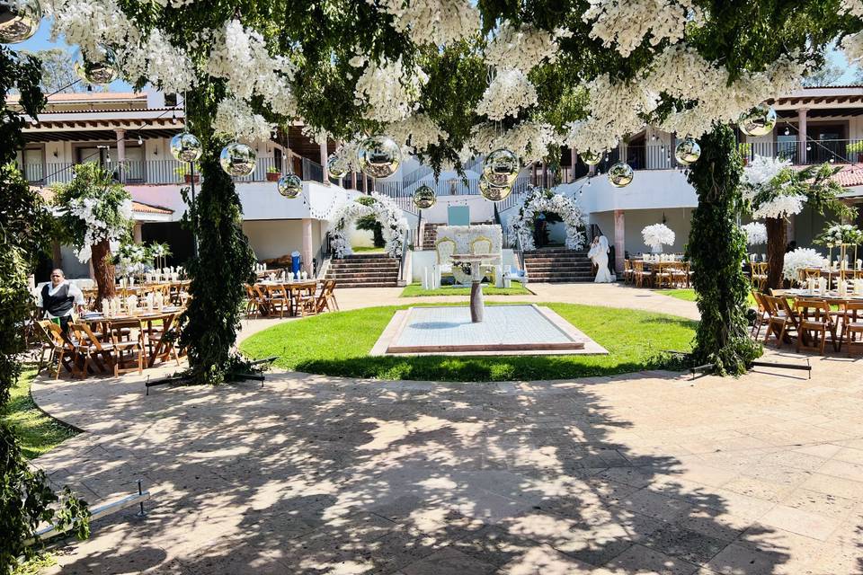 Boda cotija