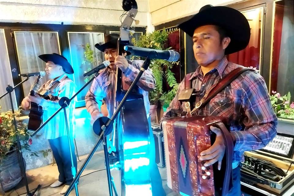 Conjunto Norteño Hermanos Oro