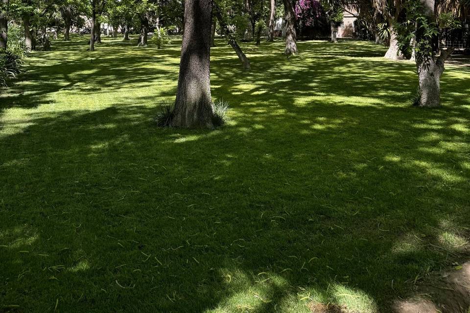 Jardín verde para eventos