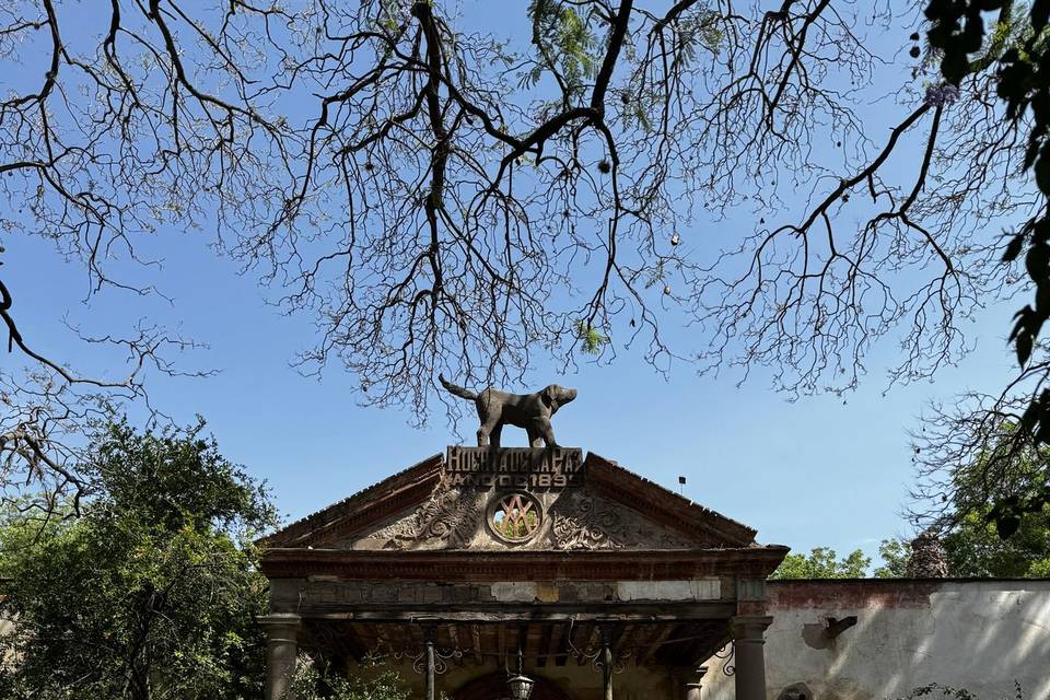 Entrada por el jardín