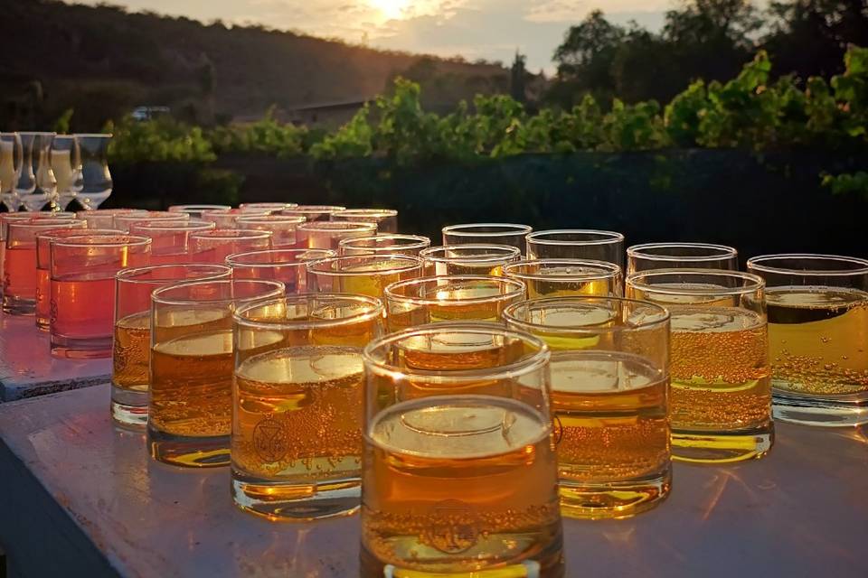 Tarde de cócteles en Querétaro