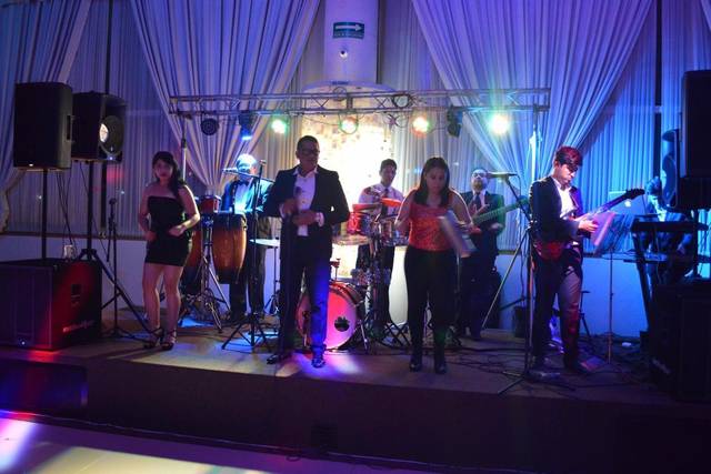 Show profesional