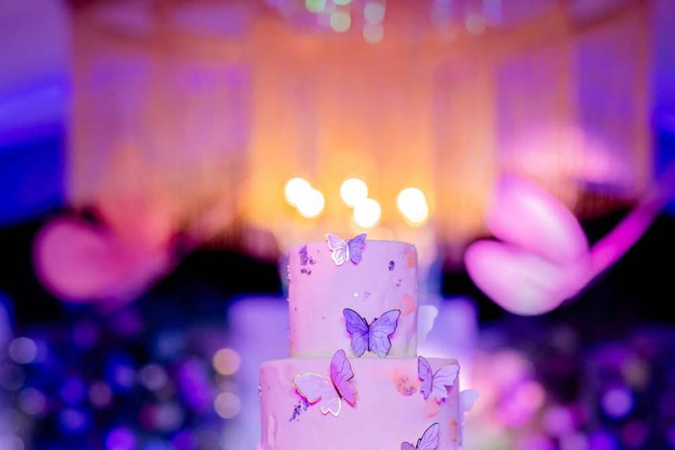 butterfly cake