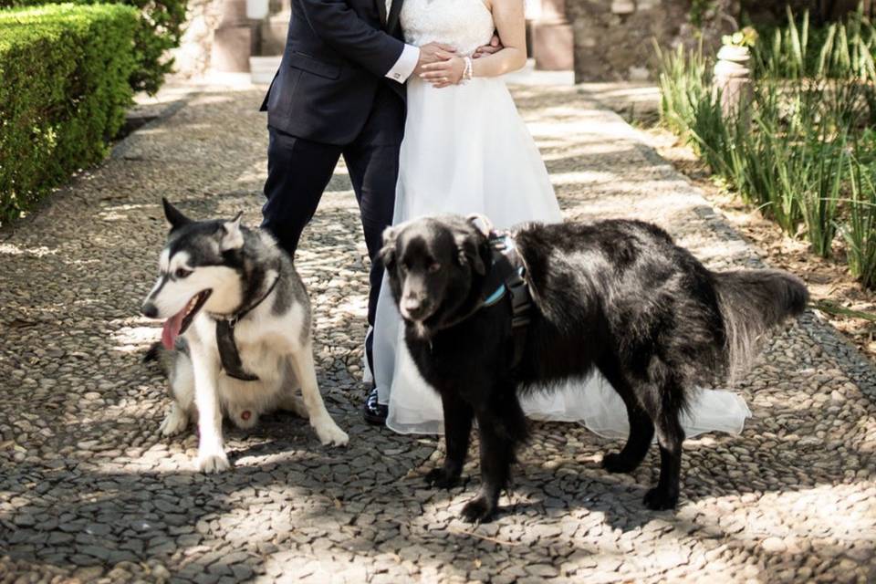 Alejandra y Rodrigo