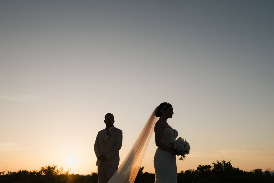 Cinema Weddings