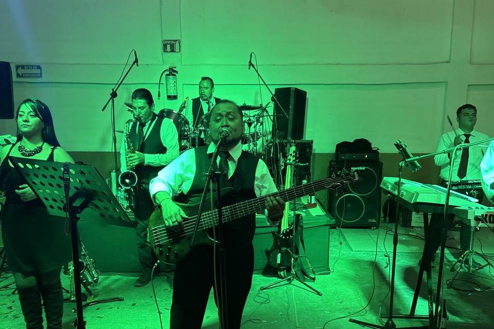 Bajo