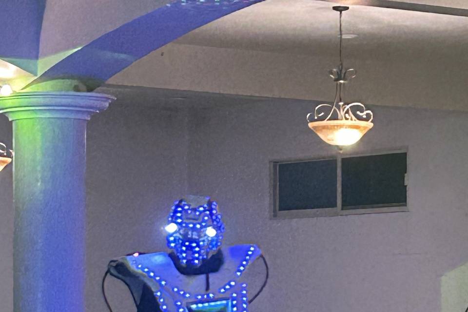Robot