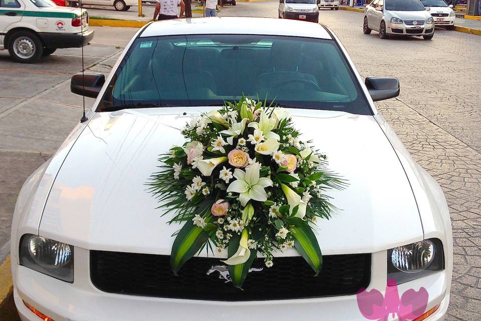 Auto de los novios