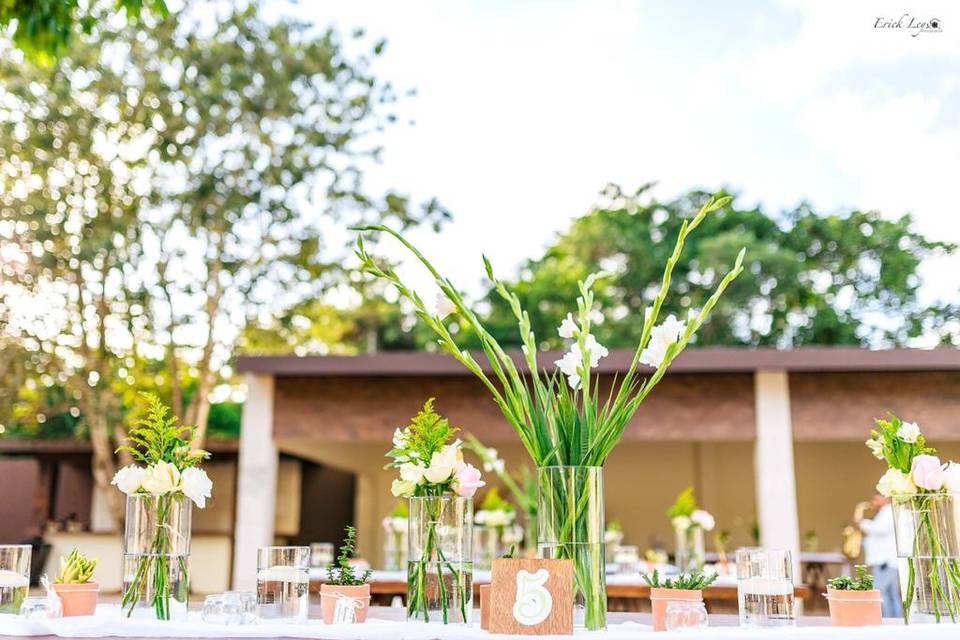 Delicious Tropical Events