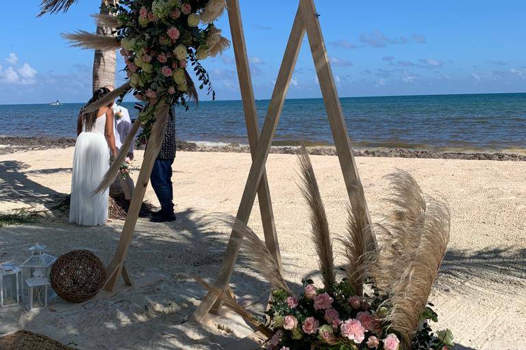 Delicious Tropical Events