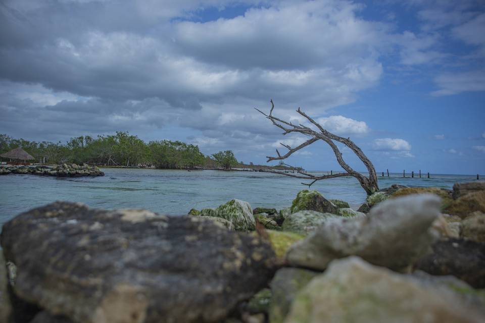 Playa del Carmen por: ImagiFot